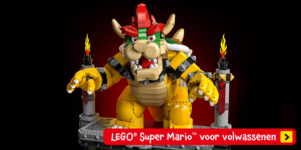 LEGO Super Mario voor volwassenen