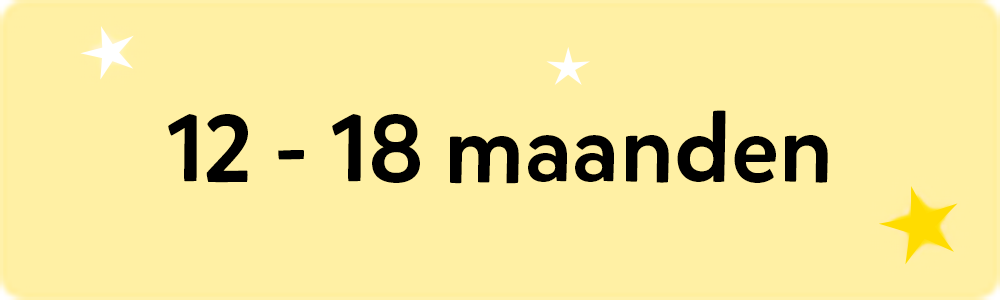 Speelgoed voor kinderen van 12 tot 18 maanden