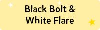 Pokémon Black Bolt & White Flare set