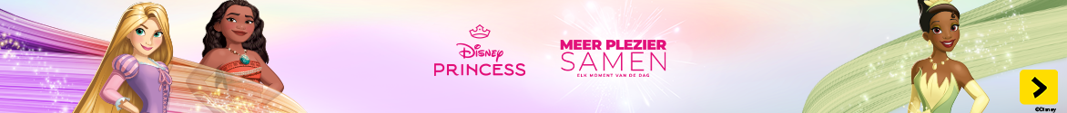 Disney Princess overzichtspagina