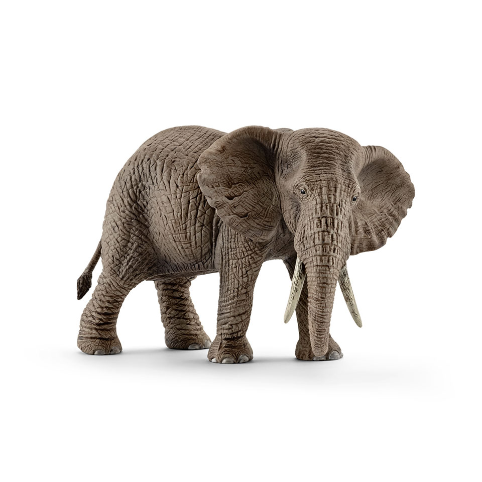 Assimilatie Ingenieurs stijl schleich WILD LIFE Afrikaanse olifant vrouwtje 14761