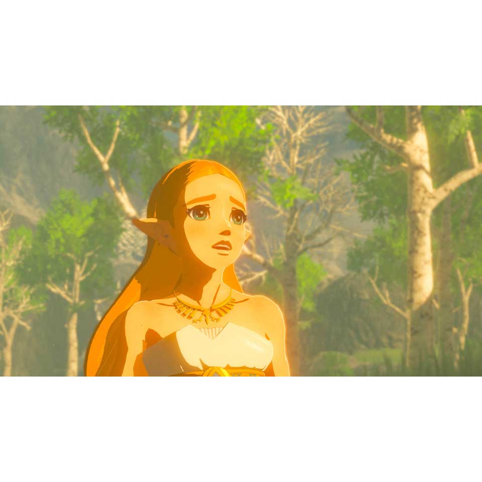 Tientallen Vergelden leven Nintendo Switch The Legend of Zelda: Breath of the Wild