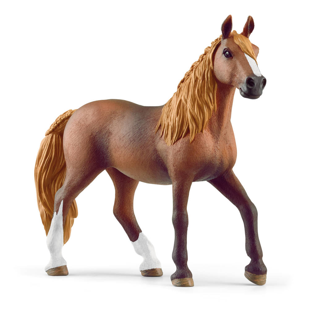 Schleich Horses 42738 - Paso Peruano starterset - België