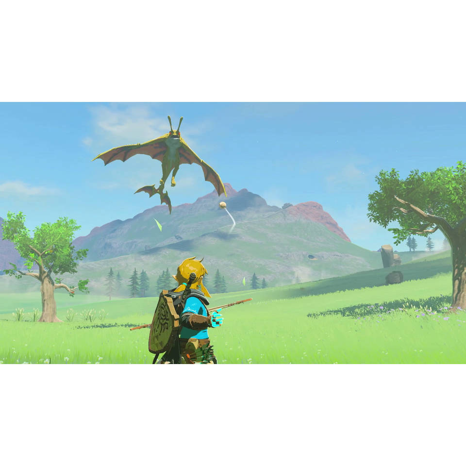 Kiezelsteen pot Correlaat Nintendo Switch The Legend of Zelda: Tears of the Kingdom