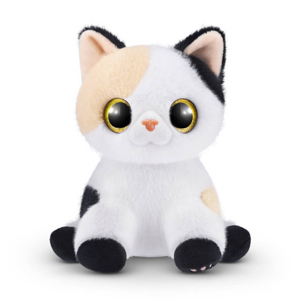 Pets Alive S1 smitten kittens