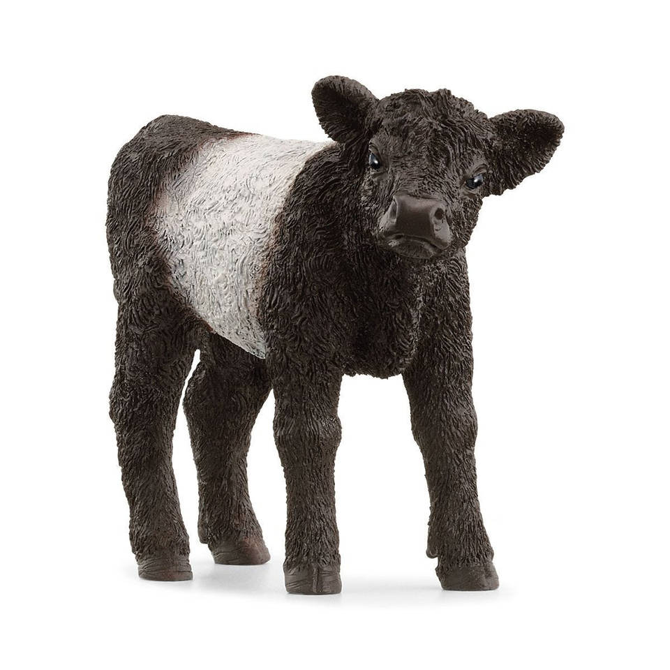 schleich FARM WORLD galloway kalf 13969