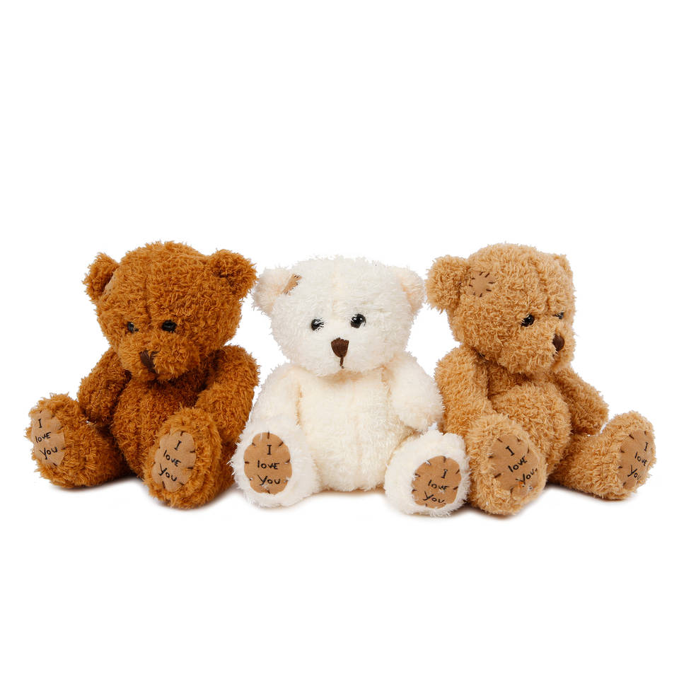 Take Me Home knuffelbeer - 18 cm