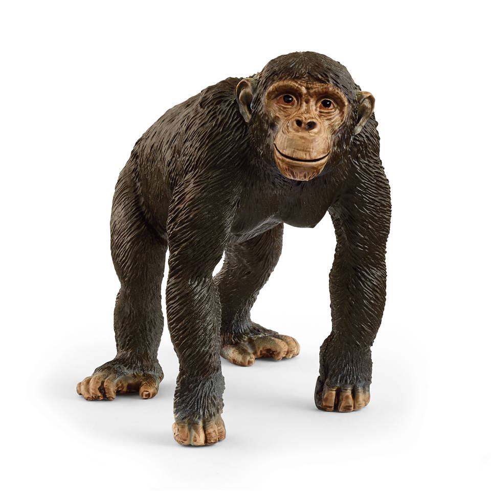 schleich WILD LIFE chimpansee 14883