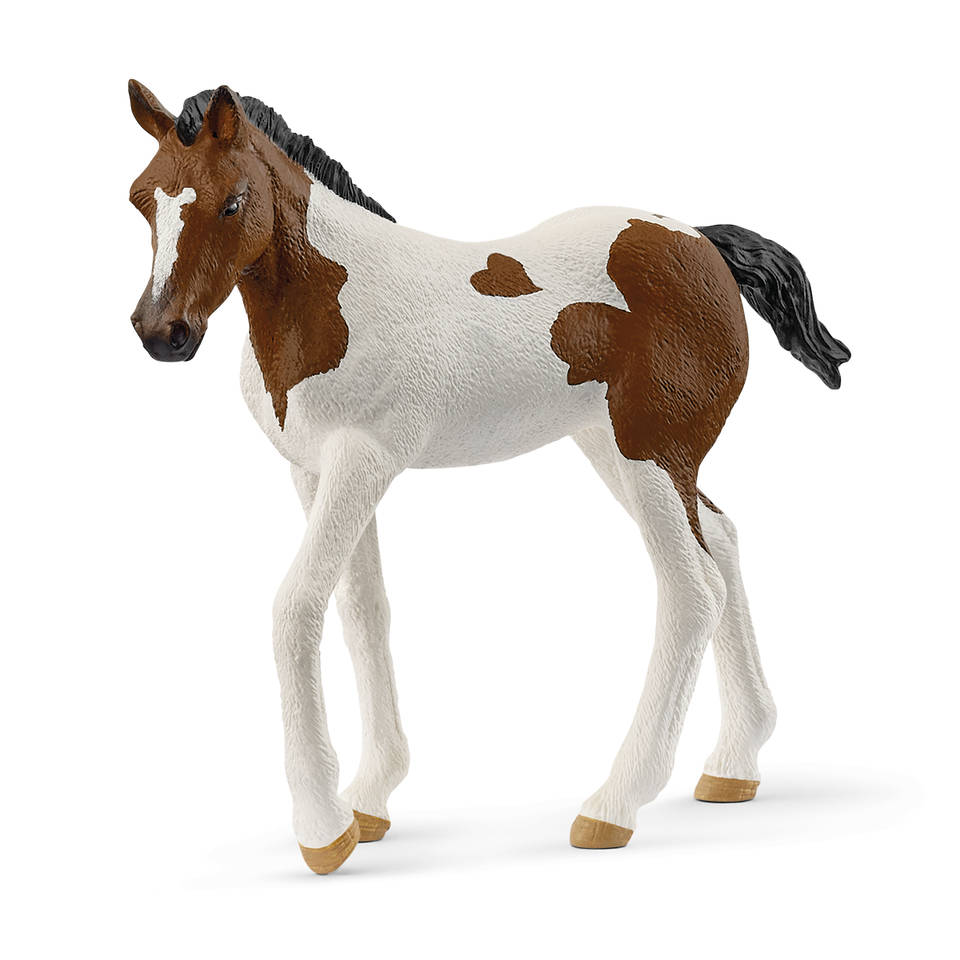 schleich HORSE CLUB Paint veulen 14899 Main Image
