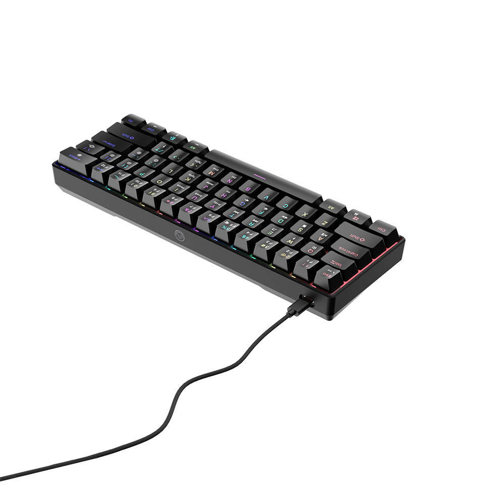 Yalangoch xonimlar külotlarini yechib olishadi