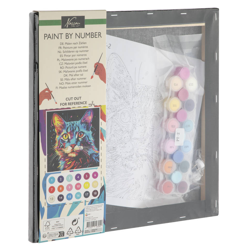 Figured'Art Mini Schilderen op Nummer Volwassenen 20x20cm met lijst Kerstman en de