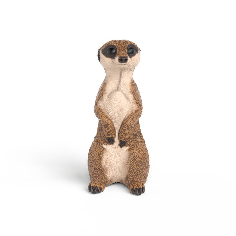 schleich WILD LIFE stokstaartje 14935 Main Image