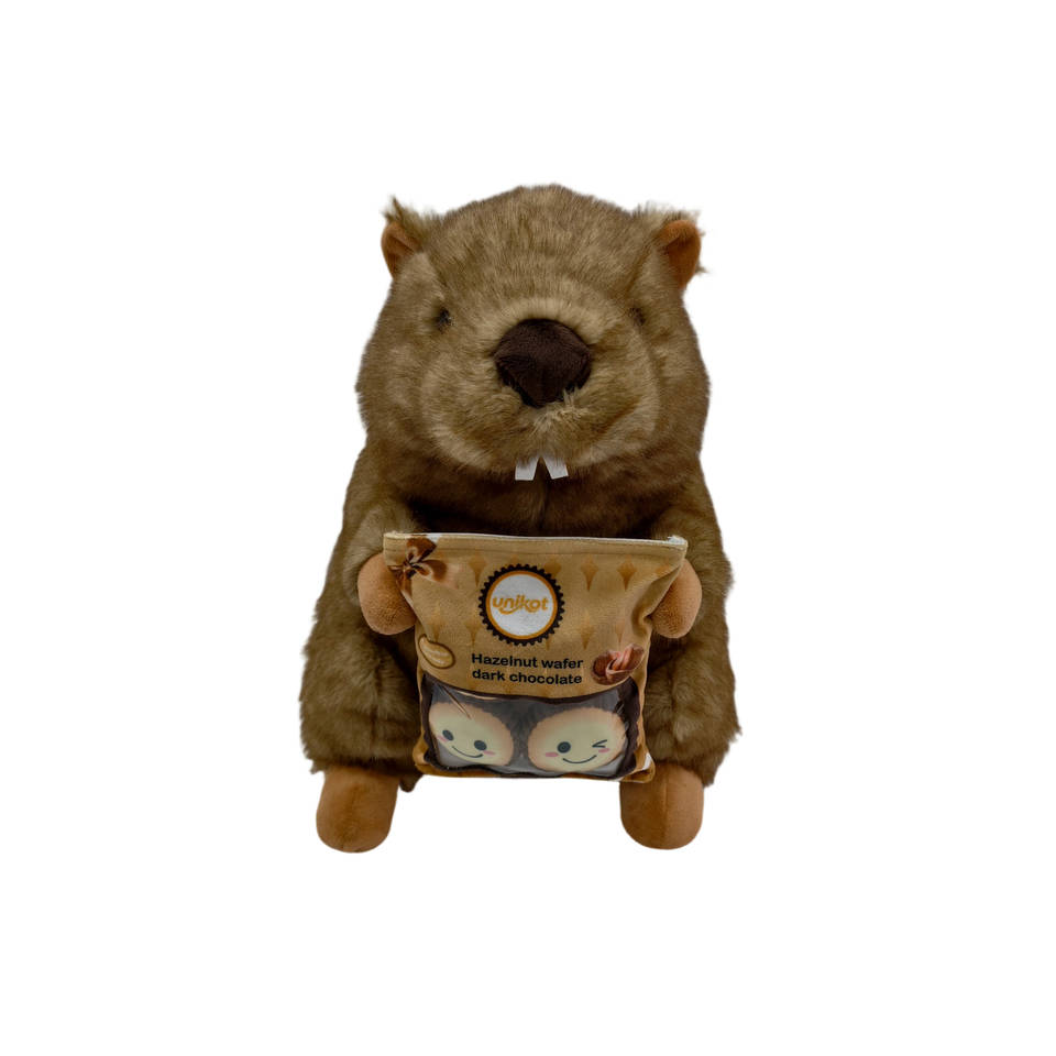 Pluchen marmot met snackzakje - 38 cm Main Image