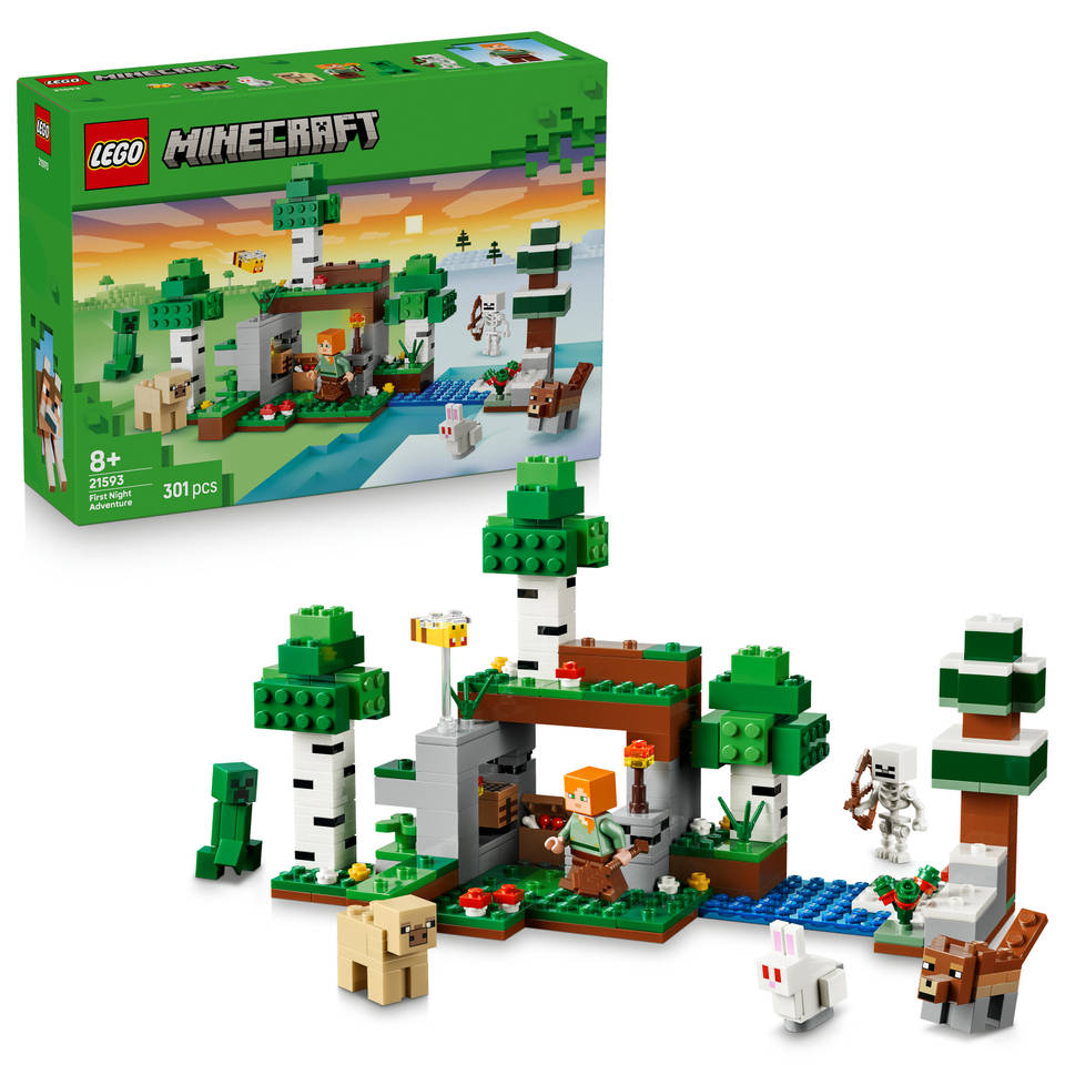 LEGO Minecraft eerste nacht-avontuur 21593