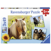 Ravensburger puzzelsset schattige pony's - 3 x 49 stukjes