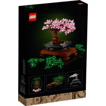 LEGO 10281 TBD-LIFESTYLE-2-2021