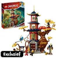LEGO NINJAGO tempel van de drakenenergiekernen 71795