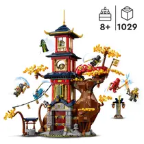 LEGO NINJAGO 71795 TEMPLE OF THE DRAGON