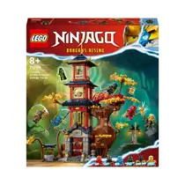 LEGO NINJAGO 71795 TEMPLE OF THE DRAGON