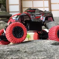 RC EXOST X-WILDFIRE