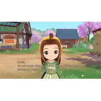 NSW STORY OF SEASONS: WONDERFUL LIFE