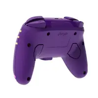 NSW AG PAARS WIRELESS CONTROLLER