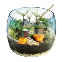 HARRY POTTER TERRARIUM