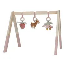 LD FAIRY GARDEN BABY GYM