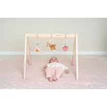 LD FAIRY GARDEN BABY GYM