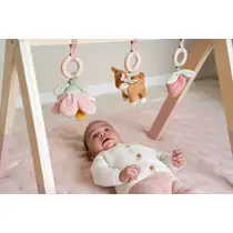 LD FAIRY GARDEN BABY GYM