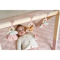 LD FAIRY GARDEN BABY GYM