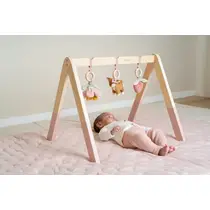 LD FAIRY GARDEN BABY GYM