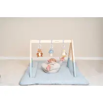 LD FOREST FRIENDS BABY GYM