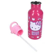 DRINKFLES HELLO KITTY TAKE A SIP 500ML