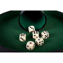 Longfield Games dobbelstenen - 6 stuks productafbeelding 4