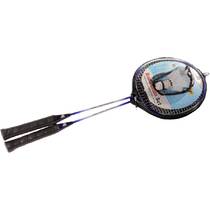 Badmintonset