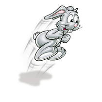 POCKETSPEL BUNNY HOP KONIJNENRACE