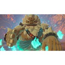 SWITCH ZELDA BREATH OF THE WILD