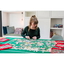 Puzzel sorteerbakjes productafbeelding 7