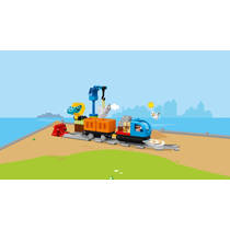 DUPLO 10875 GOEDERENTREIN