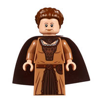LEGO HP 71043 KASTEEL ZWEINSTEIN HTF