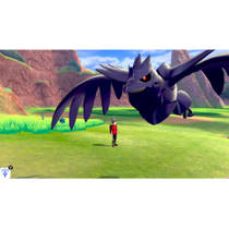 NSW POKEMON SWORD HOL