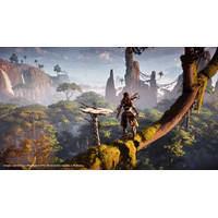 PS4 HORIZON ZERO DAWN COMP. EDITION