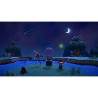 NSW ANIMAL CROSSING: NEW HORIZONS