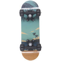 Mini beach skateboard