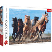 Trefl puzzel galopperende paarden - 1000 stukjes