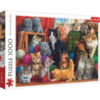 Trefl puzzel kattenbijeenkomst - 1000 stukjes