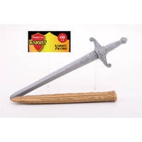 Middeleeuws ridder zwaard met schede