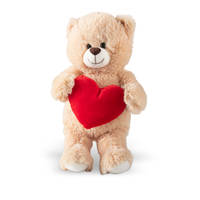 Beer met hart knuffel - 30 cm productafbeelding 3