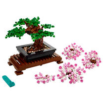 LEGO 10281 TBD-LIFESTYLE-2-2021